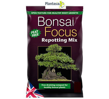 Bonsai focus repotting mix - focus,