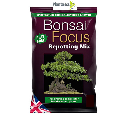 Bonsai focus repotting mix - bonsai,