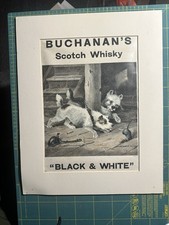 Buchanans Black & White Scotch
