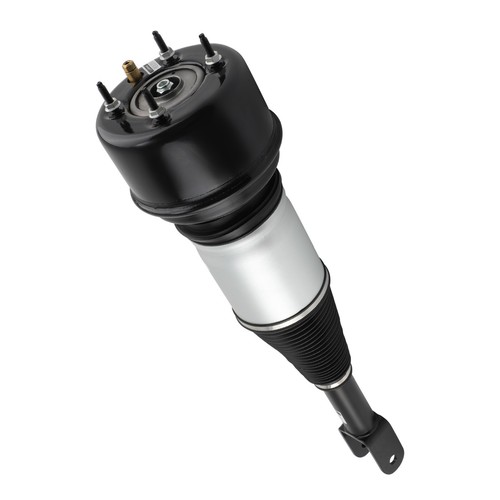 Front air suspension strut - front,