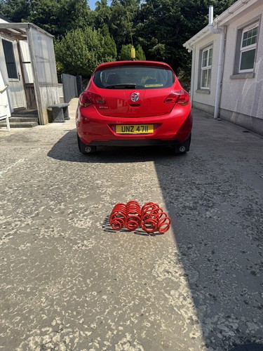 Prosport lowering springs - prosport,