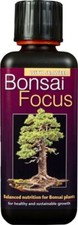 Growth technology bonsai - growth, focus