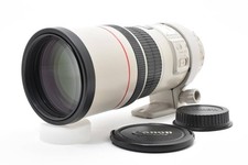 Canon EF 300mm F4L IS USM Lens