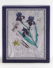 ZARA Red Vanilla Happy