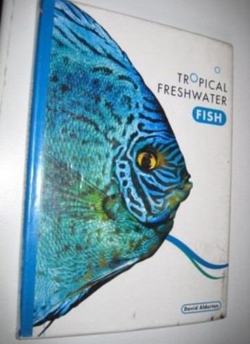 Tropical freshwater fish david - tropical, fish,david