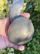 A VERY RARE HAND SIZED  PYRITE GOLDEN POLISHED AMMONITE WHITBY FOSSIL NODULE