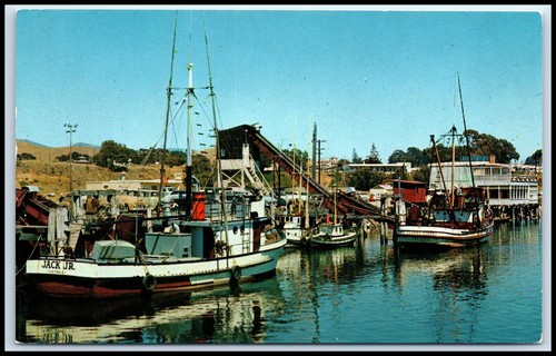 Postcard morro bay - postcard,