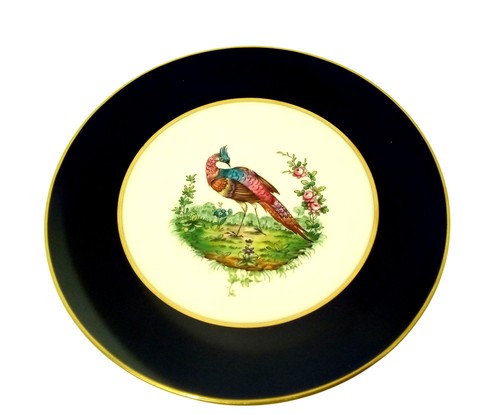 Spode copeland exotic - spode,