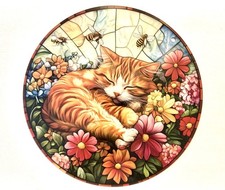 SLEEPY LITTLE ORANGE GINGER
