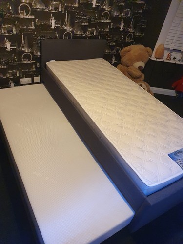 Grey trundle bed - grey, extra