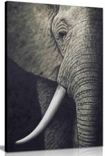 Black & White African Elephant
