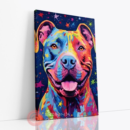 Cute pitbull stars night pet - stars,
