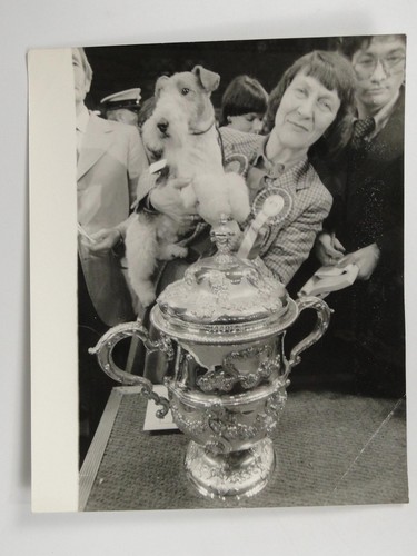 Crufts supreme champion - supreme,