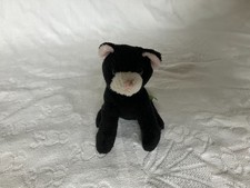 Soft toy cat - Jess?
