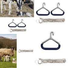 Cow Ob Apparatus Livestock