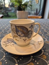 excellent SYLVAC Earthware Tea