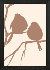 Love Birds Wild lifeNature