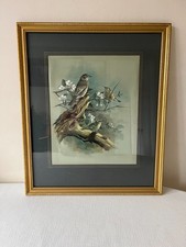 Vintage large framed and