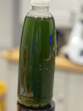 Live Phytoplankton Mix –