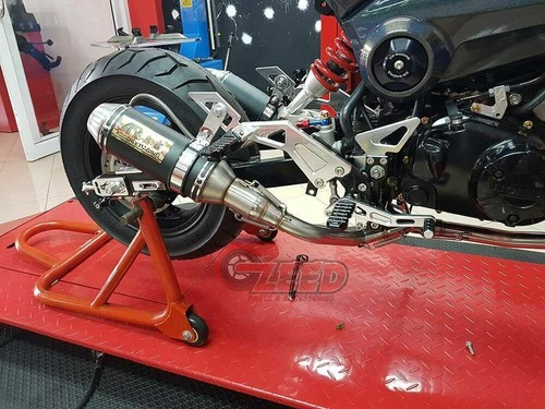 Dual exhaust double low mount - dual,