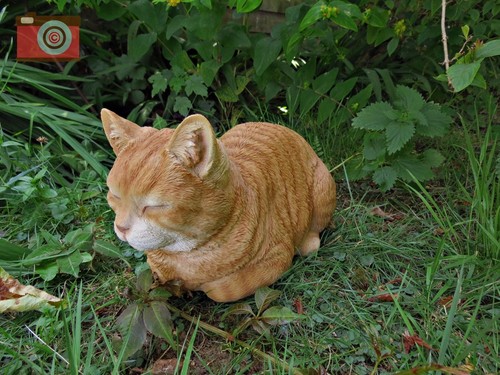 Dreaming ginger cat vivid - ,