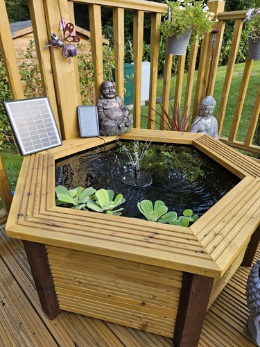 Hexagonal raised pond - pond, large