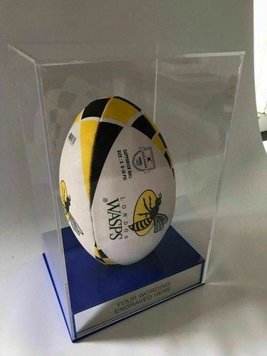Rugby ball display case - ball, grass