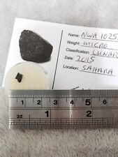 Lunar Breccia (Polymict) NWA10258 Meteorite Fragment Moon Space Rock Dust LUN07