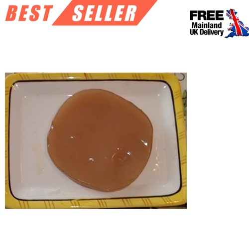 Kombucha culture large scoby - culture:,