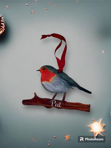 Robin personalised christmas - robin,