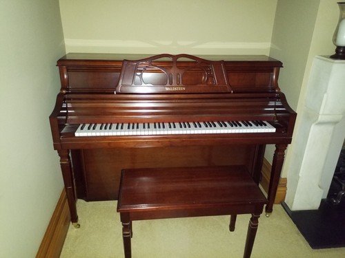 Waldstein 110 upright - , in