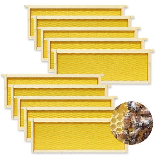 Pack langstroth super - langstroth,