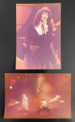 Kate bush concert london - kate,