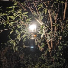 Outdoor Gas Lantern  Lamp