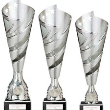 Silver Large Trophy Hurricane