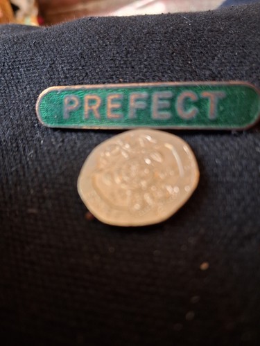 Prefect green enamel vintage - green,