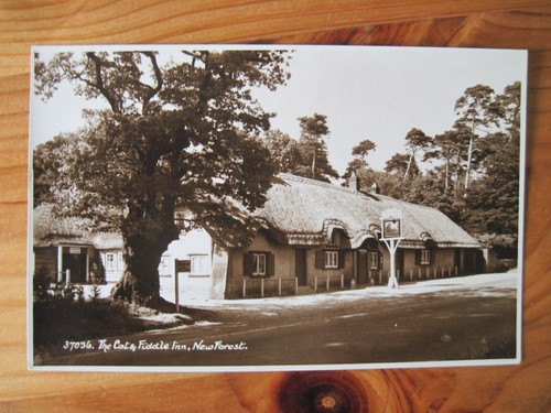 The cat fiddle inn - the,