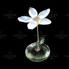 Swarovski Crystal ROCKING FLOWER JESS DAISY 1016645 Mint Boxed Rare Retired