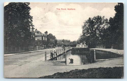 Postcard watford the pond - postcard,