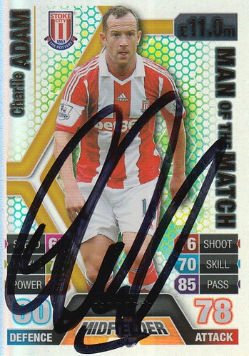 Stoke city hand signed - signed, charlie