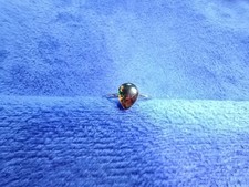 Ammolite Stainless Steel