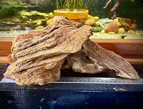 Large natural aquarium - large,