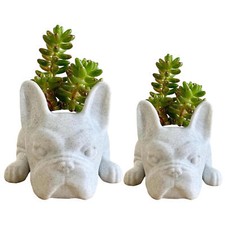 1pcs Dog Succulent Planter