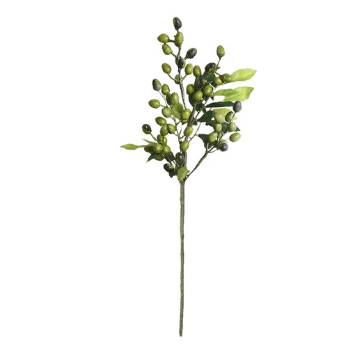 Simulated olive branch - ﹣simulated,