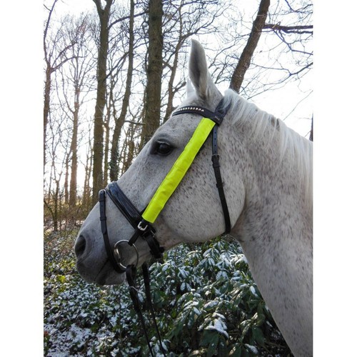 Horse halter fluo - fluo, strap