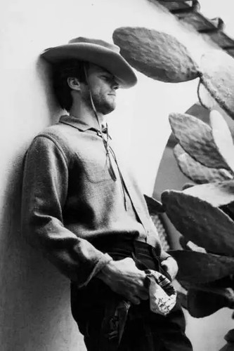 Actor clint eastwood cowboy - clint, in