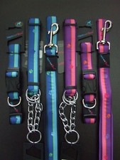 HEM AND BOO DOG & CO NYLON CLIP DOG COLLAR or PADDED HANDLE LEAD-NutsAbout Mutts