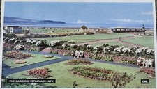 The Gardens & Esplanade, Ayr,  Vintage Postcard 