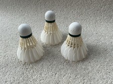 Ashaway Championship