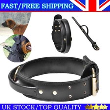 Large Leather Dog Collar W/